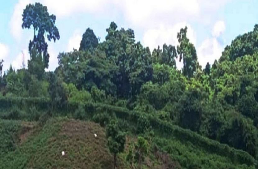 সীমান্তে দফায় দফায় গোলা বর্ষণ