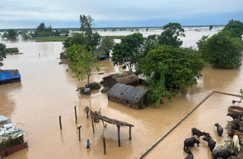 ছবি-সংগৃহীত