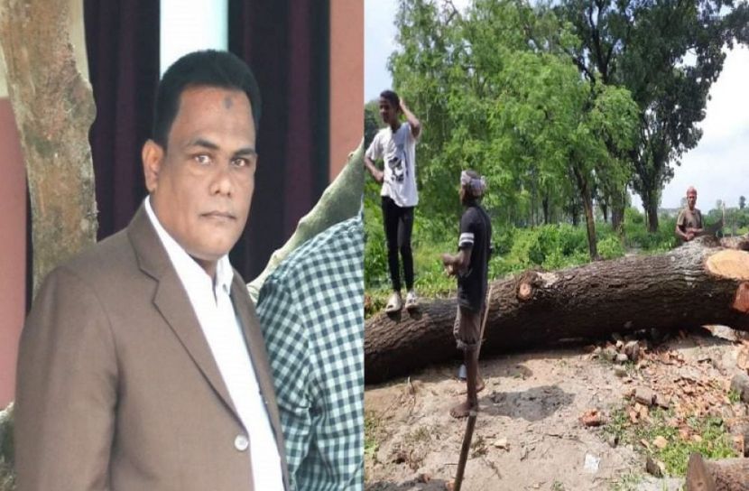 গাছ কর্তন মামলায় কাউন্সিলর আটক