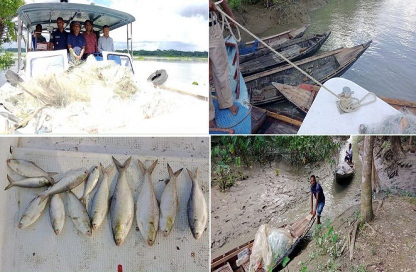 ঝালকাঠিতে ২জেলের কারাদণ্ড, ২০ হাজার মিটার জাল ও ৯টি নৌকা জব্দ