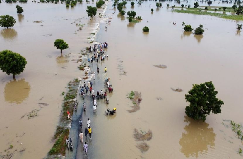 ছবি-সংগৃহীত