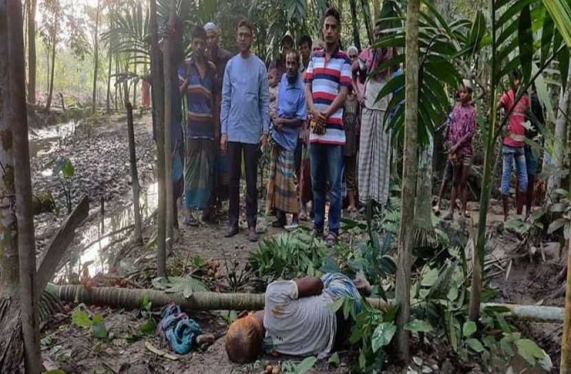 ঝালকাঠিতে গাছ থেকে পড়ে দিনমজুরের মৃত্যু