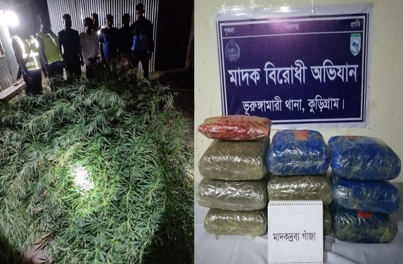 কুড়িগ্রামে ১২৯ কেজি গাঁজা সহ ০২ জন আটক!