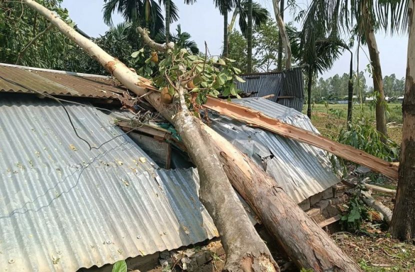 প্রতীকী ছবি