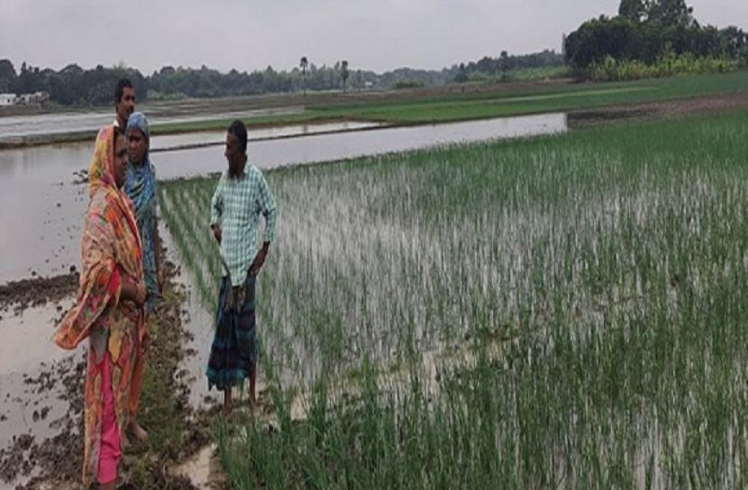 প্রতীকী ছবি