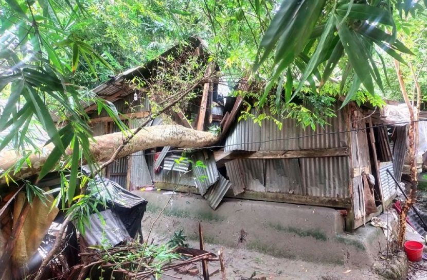 ঝালকাঠিতে শতাধিক বসতঘর বিধ্বস্ত