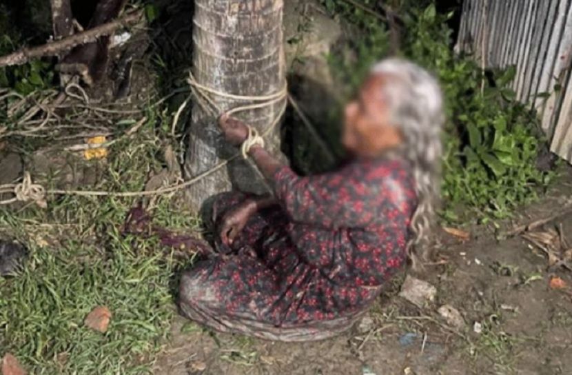 ৮০ বছরের বৃদ্ধাকে গাছের সঙ্গে বেঁধে নির্যাতন!