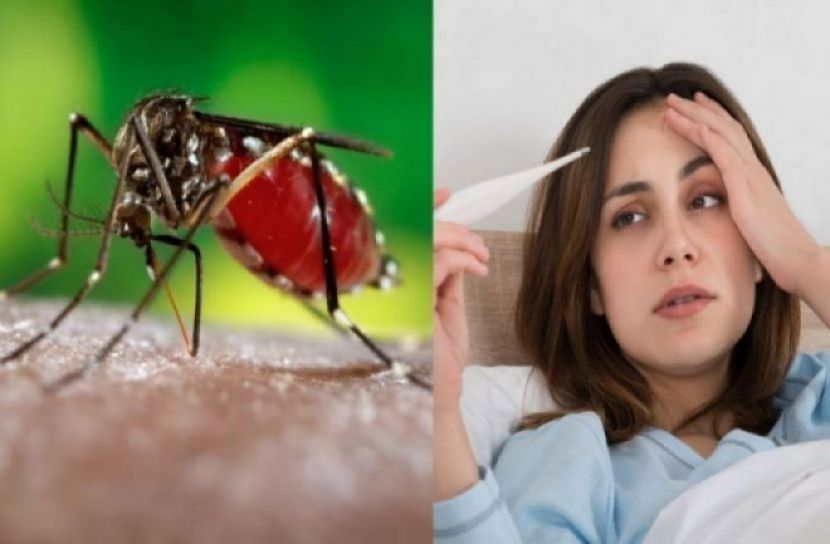 প্রতীকী ছবি