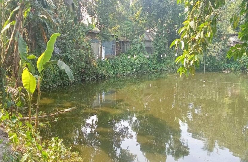হরিপুরে পুকুর থেকে লাশ উদ্ধার
