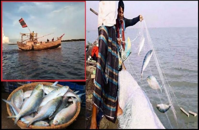মধ্যরাতে উঠছে নিষেধাজ্ঞা, ইলিশ শিকার শুরু