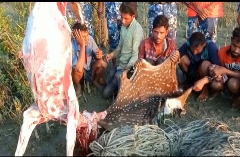 হাতিয়াতে ৬ হরিণ শিকারী আটক 