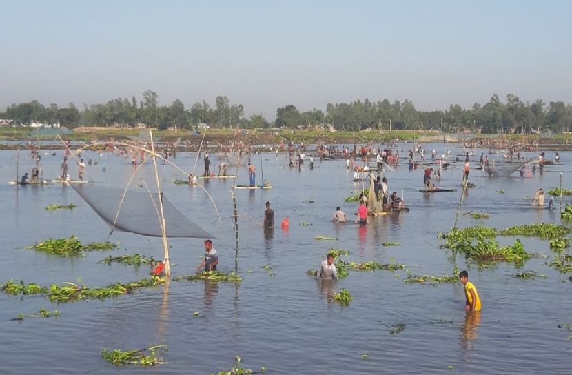 টাঙ্গন নদীতে চলছে মাছ ধরা উৎসব