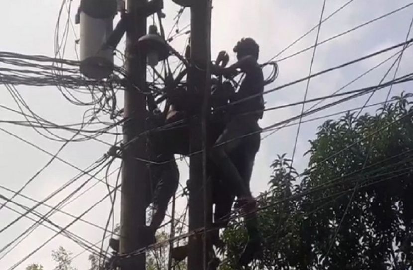 মুন্সীগঞ্জে বৈদ্যুতিক খুটি সংস্কারের সময় ২ শ্রমিক আহত