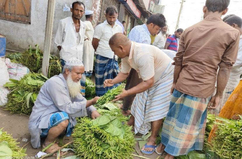 ঈশ্বরগঞ্জে পান চাষির মুখে হাসি