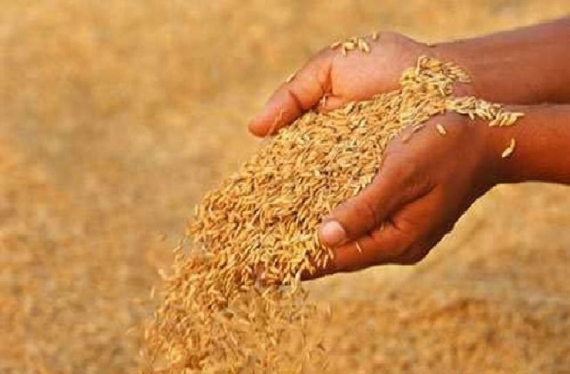 চট্টগ্রাম বন্দরে এল ৫২ হাজার টন গম