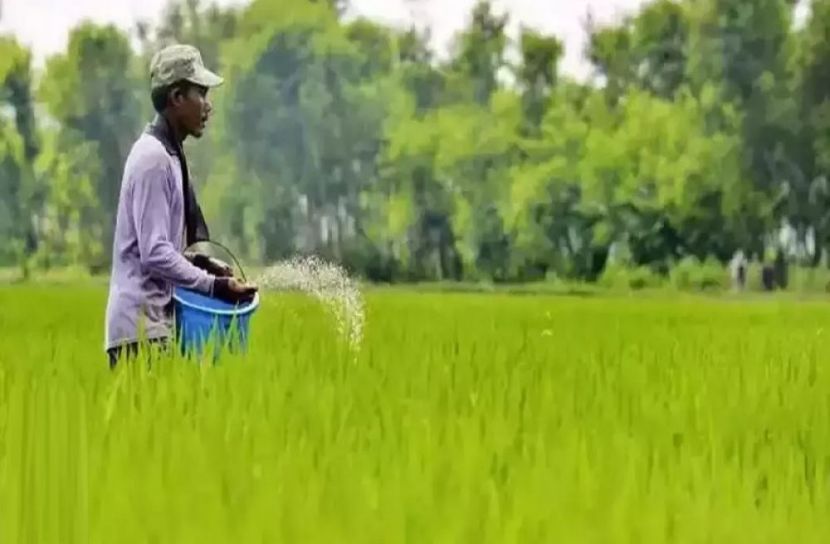 ৯০ হাজার টন সার কিনবে সরকার