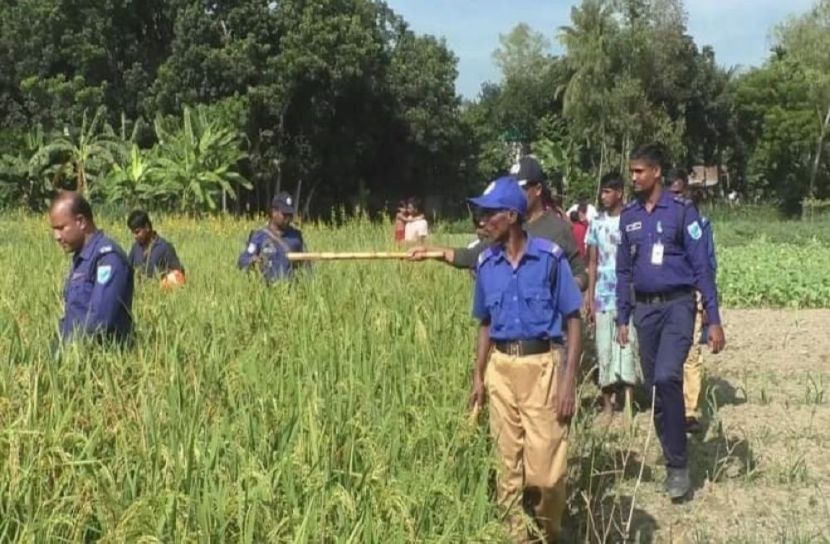 ধানক্ষেতে অজ্ঞাত নারীর মস্তকবিহীন দেহের অংশ উদ্ধার