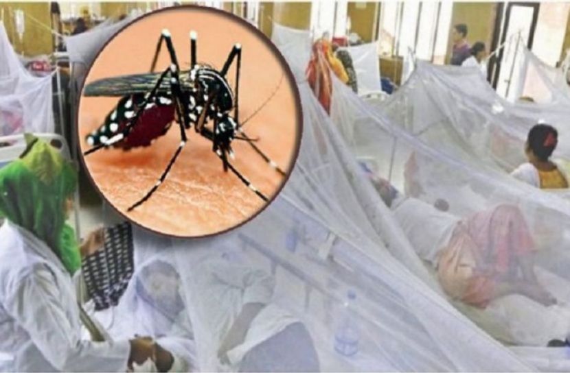 ডেঙ্গুতে আরও দুইজনের মৃত্যু