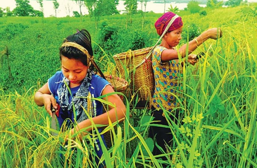 প্রতীকী ছবি