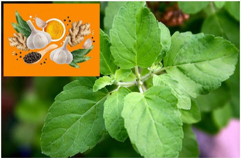 ফাইল ফটো