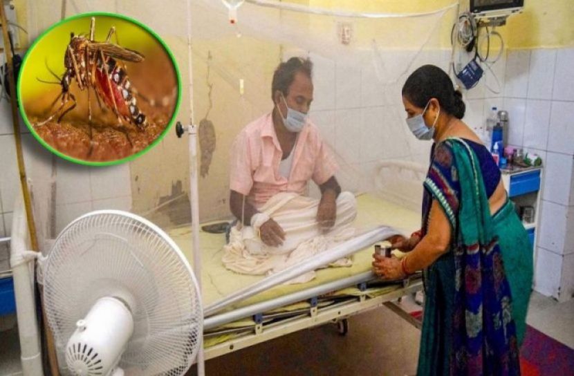 আরও ১৪৫ হাসপাতালে ভর্তি