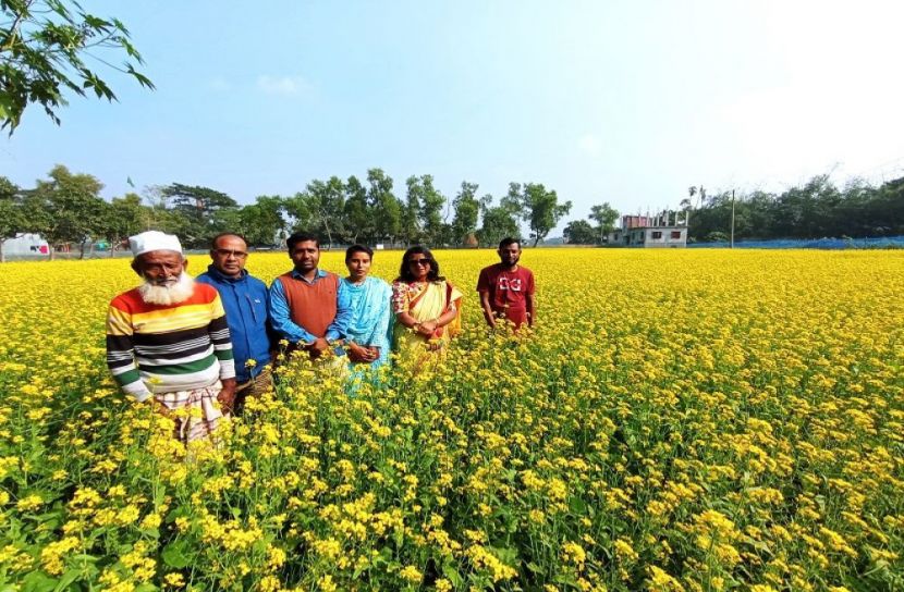 হলুদ গালিচায় প্রকৃতি মেলেছে পাখা