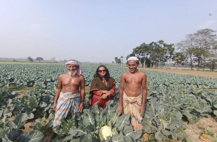 ফুলকপির ভালো ফলনে স্বাবলম্বী কৃষক 
