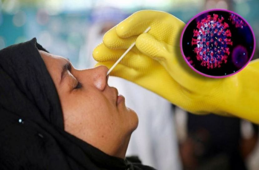 ফাইল ছবি