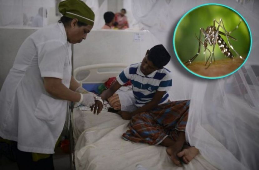 ডেঙ্গুতে মৃত্যু শুন্য, শনাক্ত ৬৭