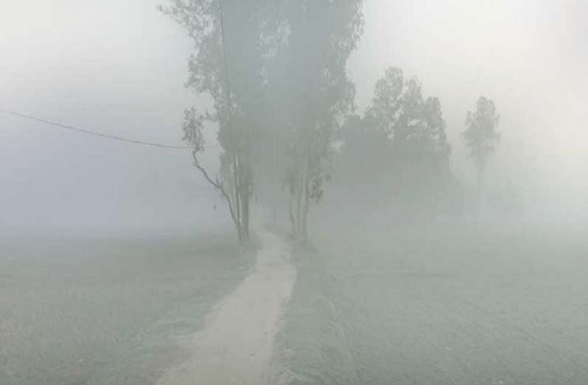 ফাইল ছবি