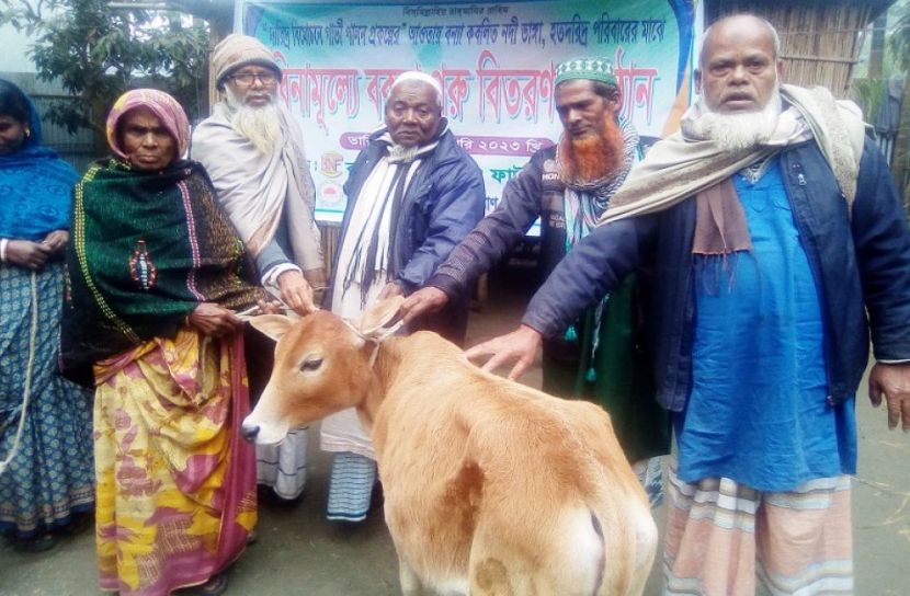 উলিপুরে দরিদ্র পরিবারে গরু বিতরণ