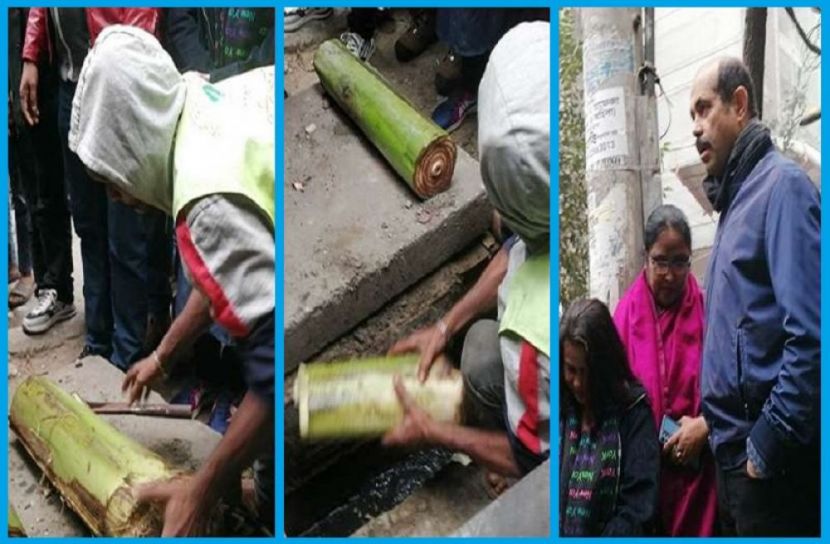 কলা গাছ থেরাপি শুরু