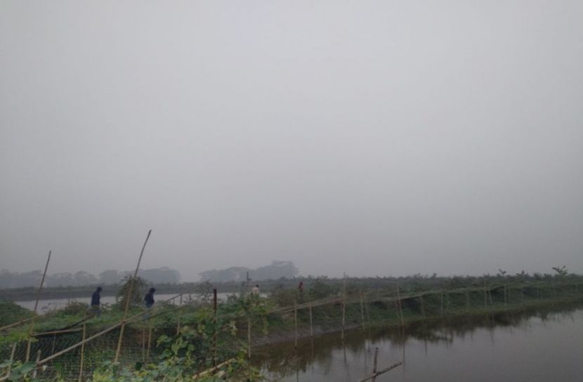 কনকনে শীতের ঠান্ডায় কাঁপছে মাদারীপুর