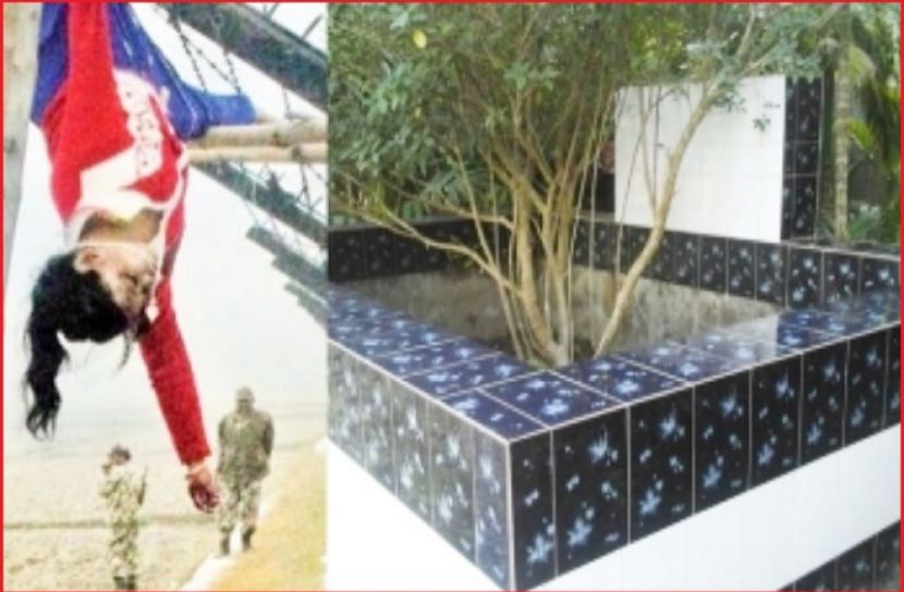 ছবি : সংগৃহিত