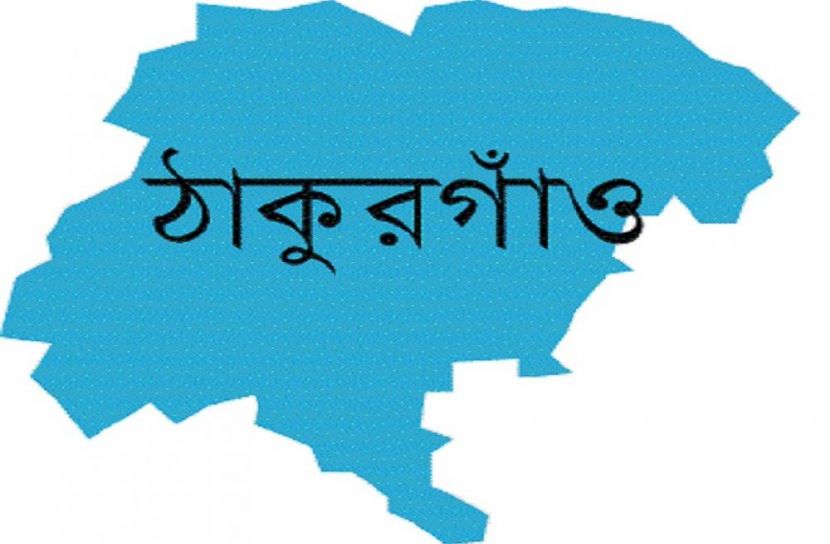 ঠাকুরগাঁও সীমান্তে গরু আটক