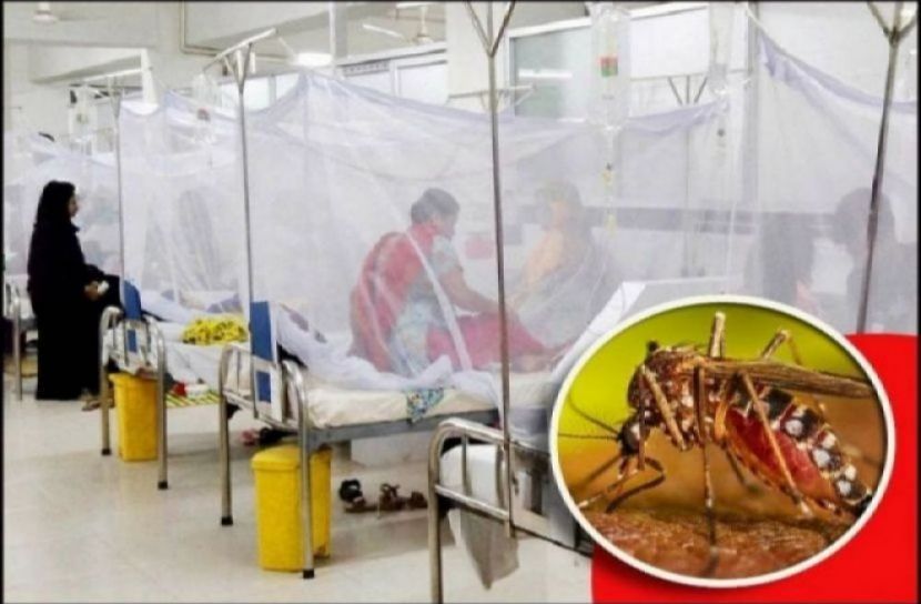 ডেঙ্গুতে বছরের প্রথম মৃত্যু