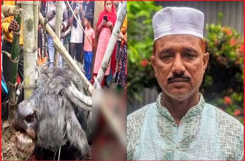 ছবি : সংগৃহিত