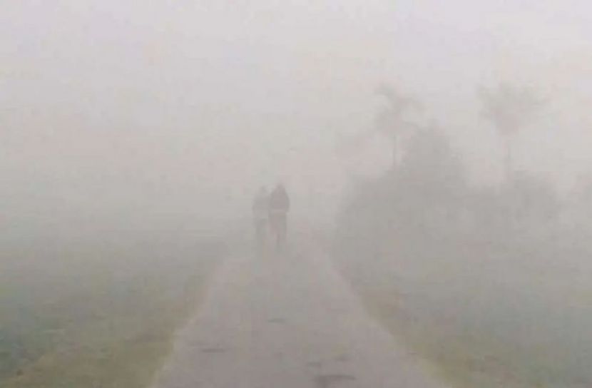 ছবি-সংগৃহীত