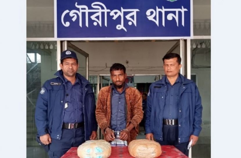 গৌরীপুরে গাঁজাসহ মাদক ব্যবসায়ী গ্রেফতার