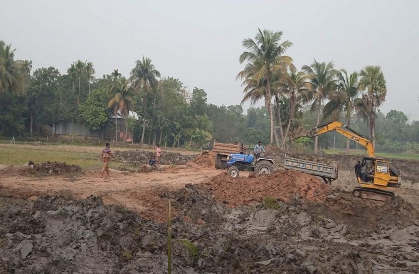 ফসলি জমির মাটি কেটে ইটভাটায় বিক্রির হিড়িক!