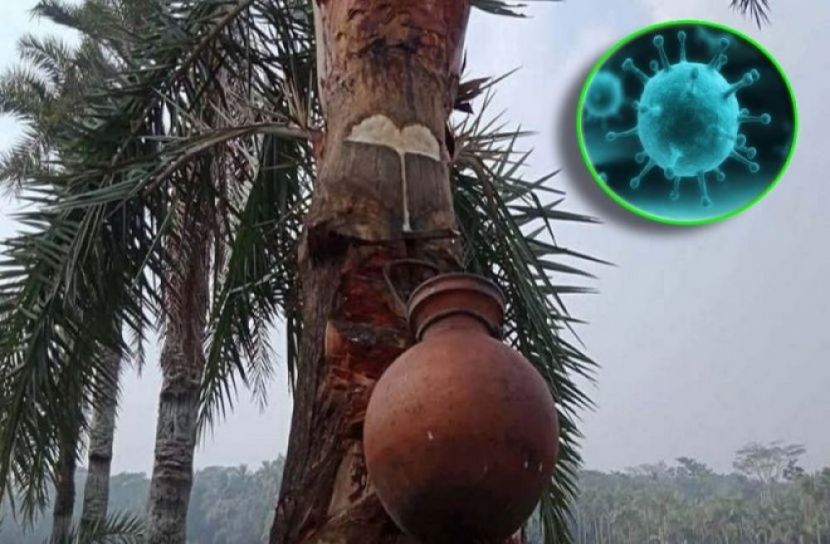 নিপাহ ভাইরাসে স্কুলছাত্রের মৃত্যু