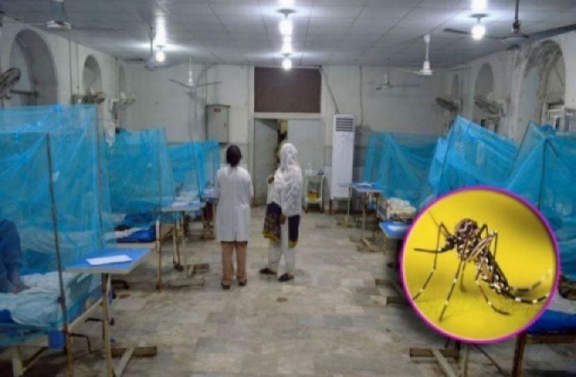 ডেঙ্গুতে একজনের মৃত্যু