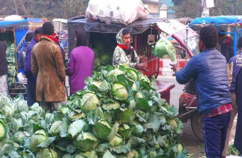 ঠাকুরগাঁওয়ে কমেছে সবজির দাম