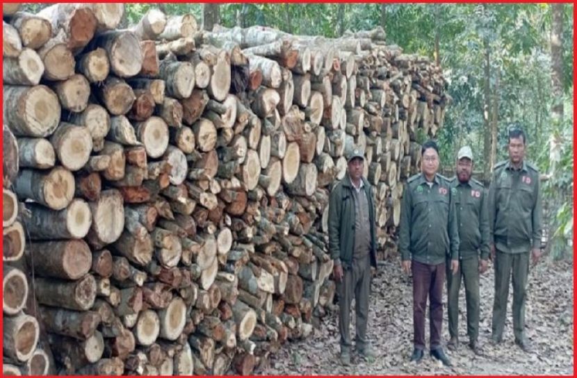 ছবি : সংগৃহিত