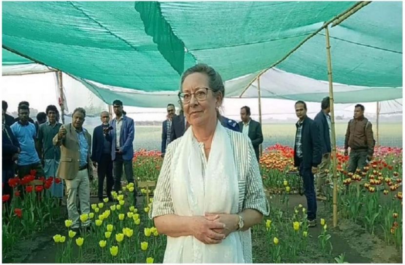ছবি : সংগৃহিত