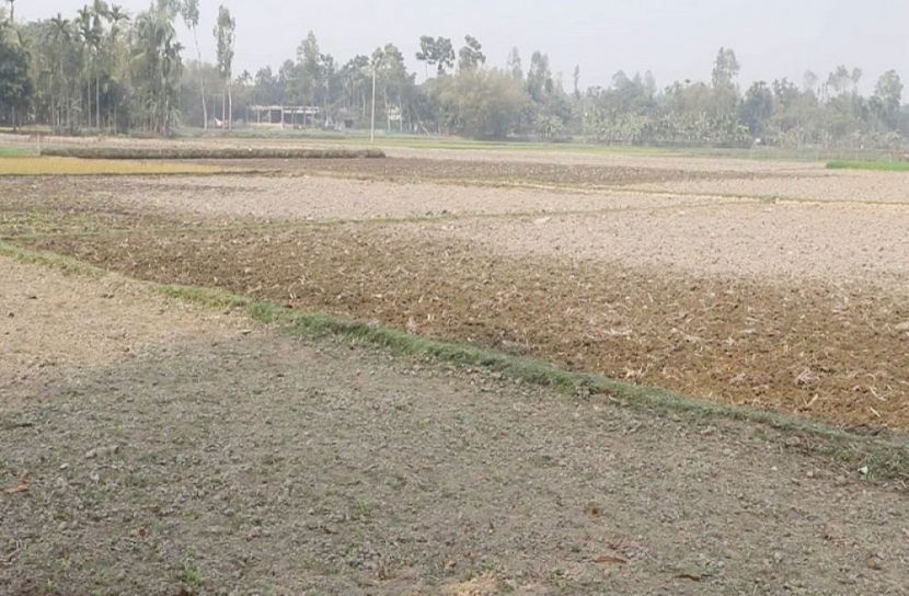 ছবি : সংগৃহিত