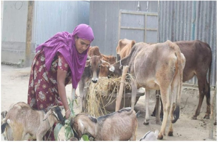 ছবি : সংগৃহিত