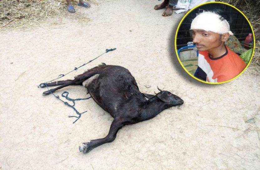 ছাগলের ফসল খাওয়াকে কেন্দ্র করে সংঘর্ষ, আহত ৭