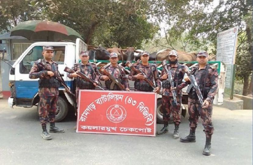 খাগড়াছড়িতে ভারতীয় গরু জব্দ 