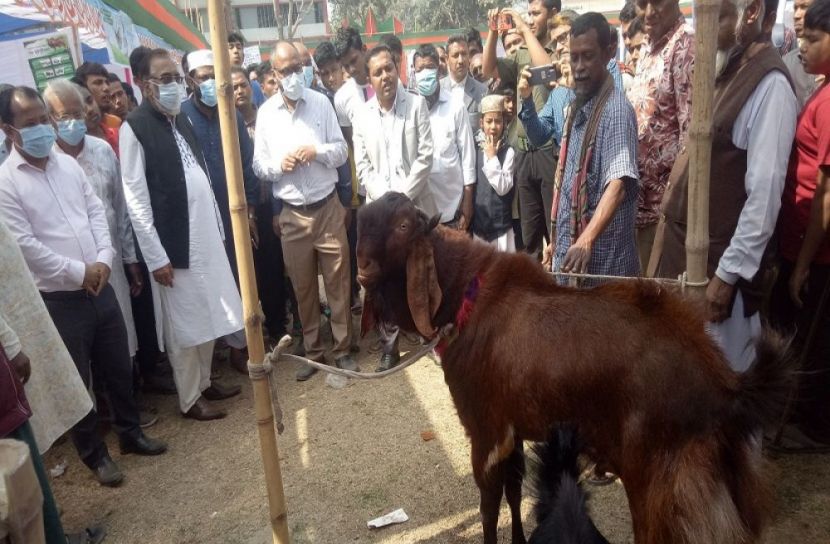 উলিপুরে প্রাণিসম্পদ প্রদর্শনী মেলা অনুষ্ঠিত